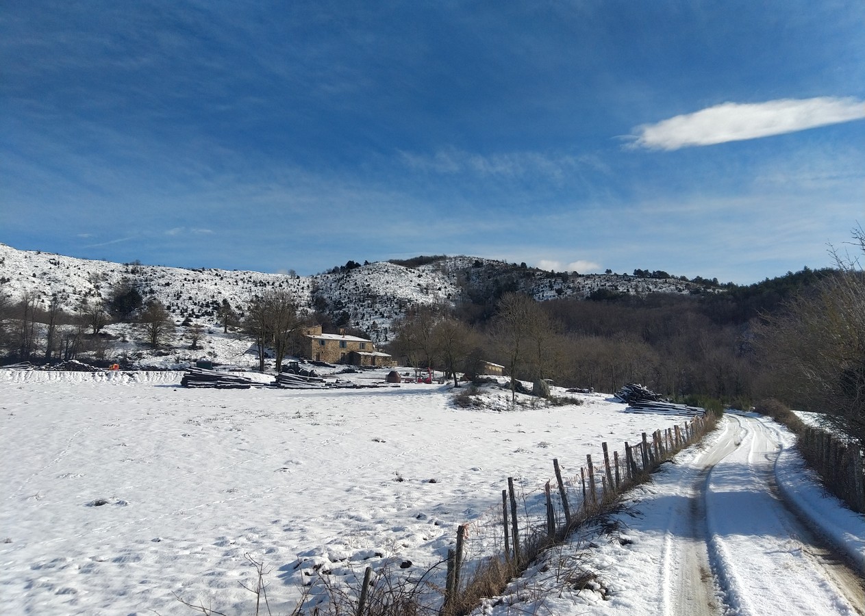 Le Mas forestier sous la neige — Pla del Mané, Haut Vallespir